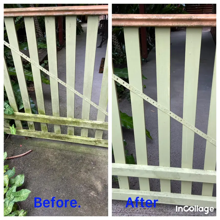 Painted timber picket fence before and after cleaning