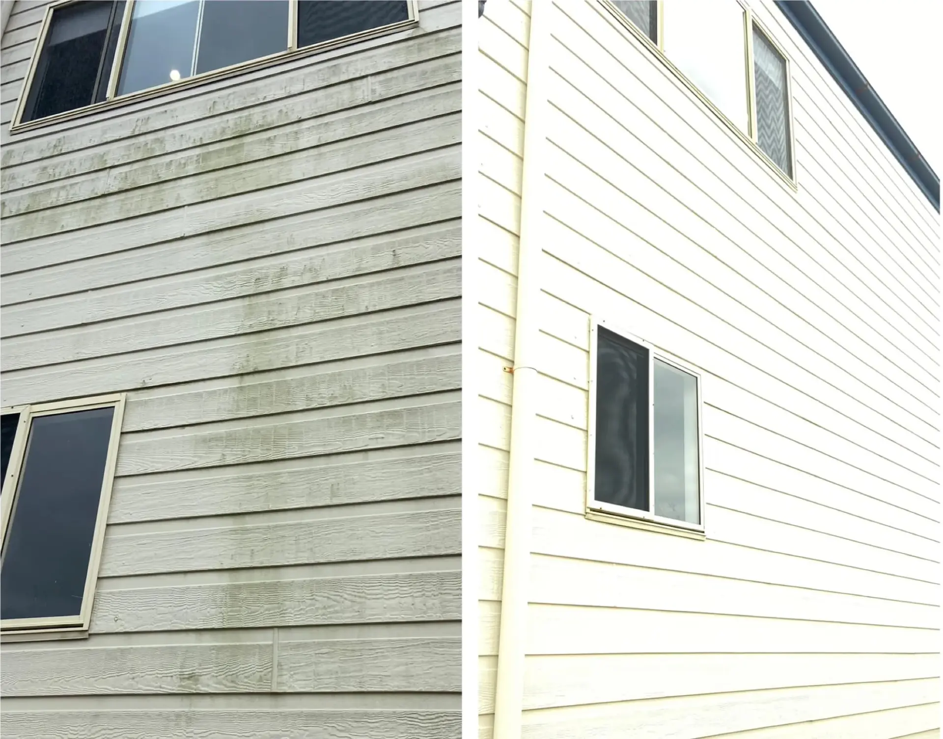 Weatherboard house exterior before and after cleaning, green mould removed from the cladding