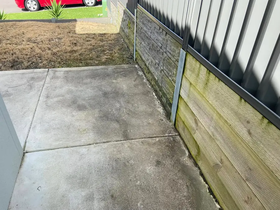 Timber paling fence alongside a concrete path, moss on lower boards
